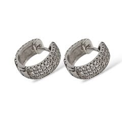 Kristal Taşlı Kadın Gümüş Halka Küpe