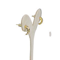 14K Altın Kaplama Zirkon Taş Sedefli Halka Küpe