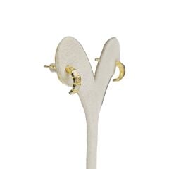 14K Altın Kaplama Zirkon Taş Sedefli Halka Küpe